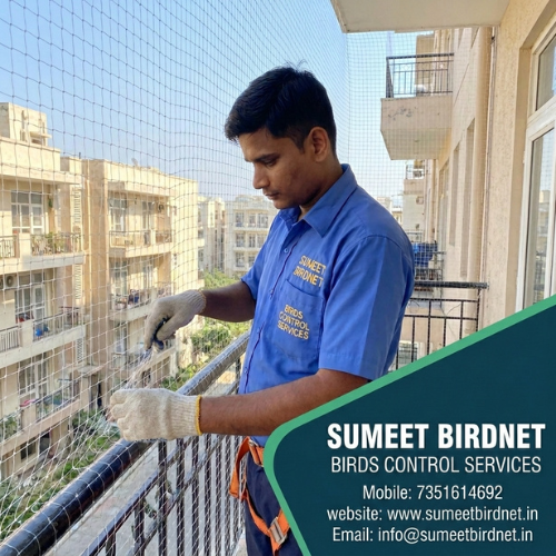 Birds Control Services